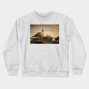 Back away Crewneck Sweatshirt